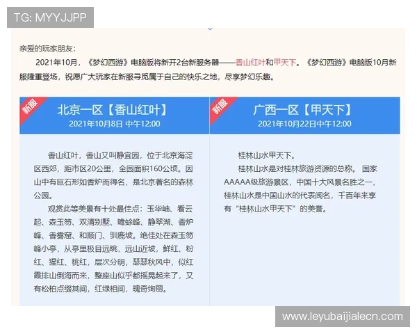 od真人登录后遇到问题怎么办？全面排查与解决方案帮助玩家快速恢复游戏